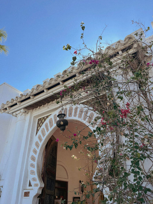 New Stockist Spotlight: Korakia Pensione, Palm Springs