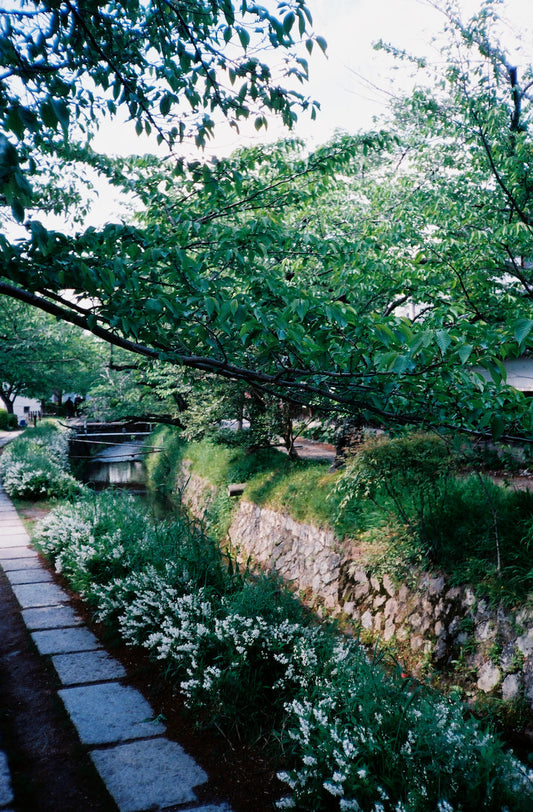 Slow Travel in Japan: A Visual Journal by AVILLA