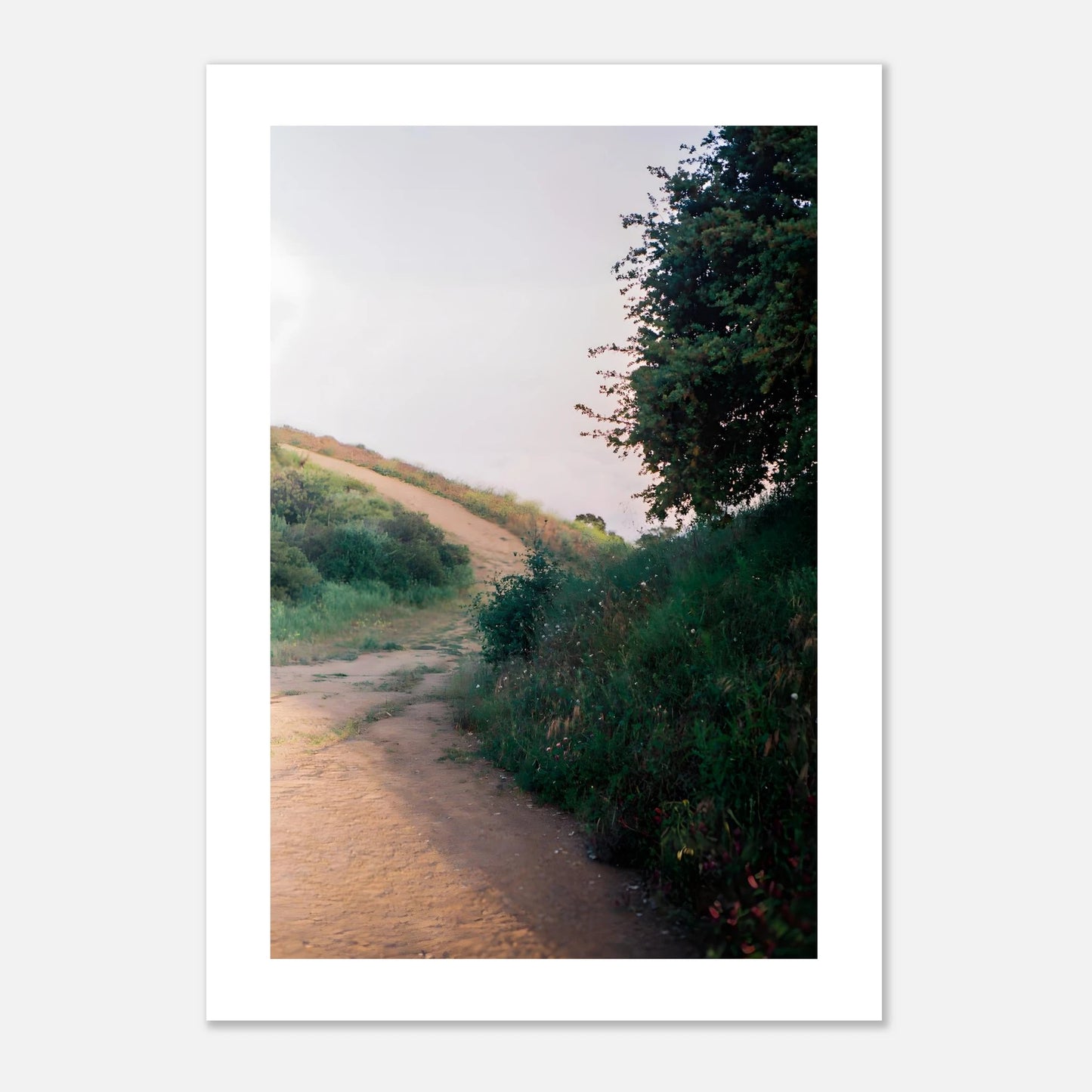 32581d9d-deaf-46f5-95e6-15d59e60b78f