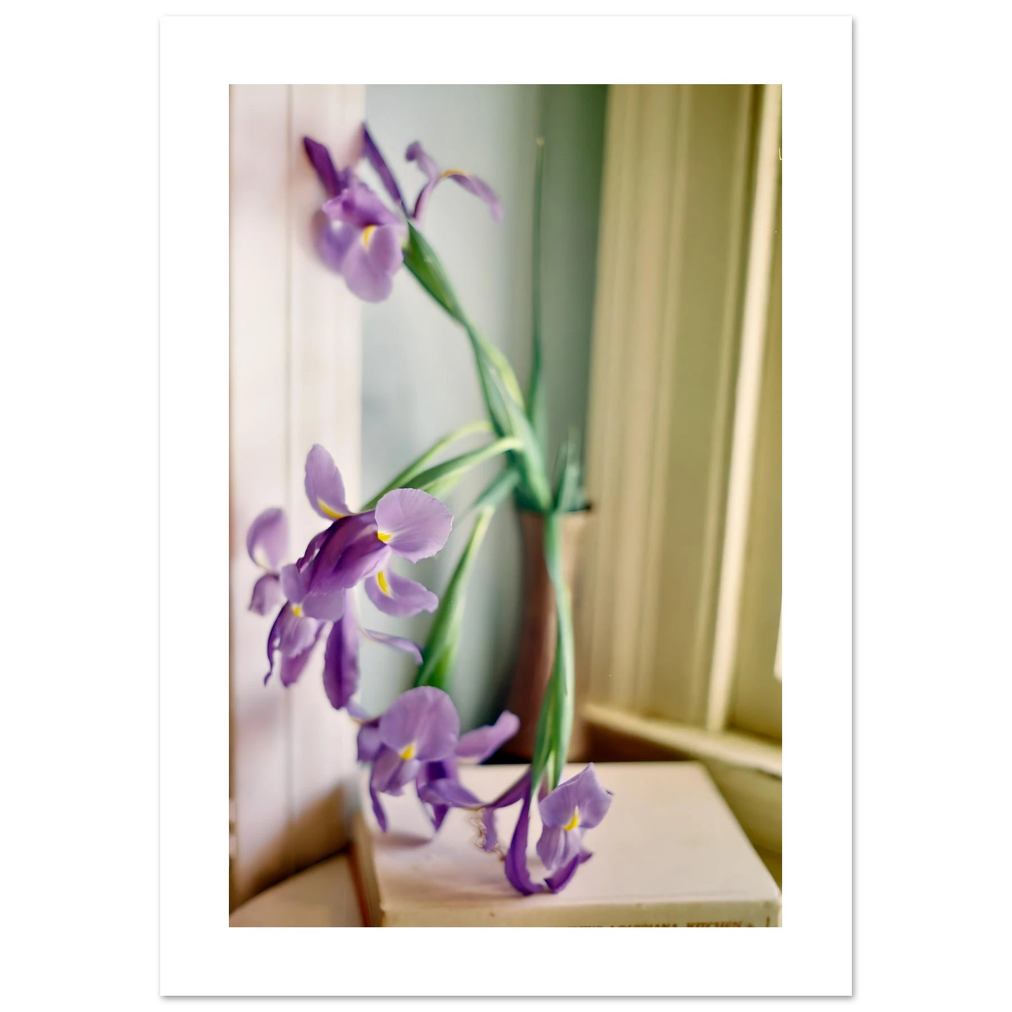 5ec96ec2-65db-4a61-94f4-914e638257b8