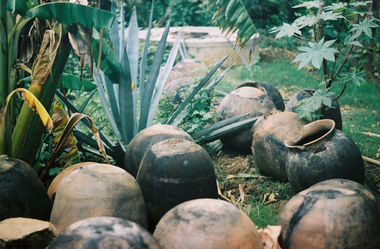 Slow Travel ~ Oaxaca