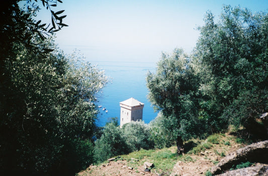Slow Travel ~ Film Notes from Liguria