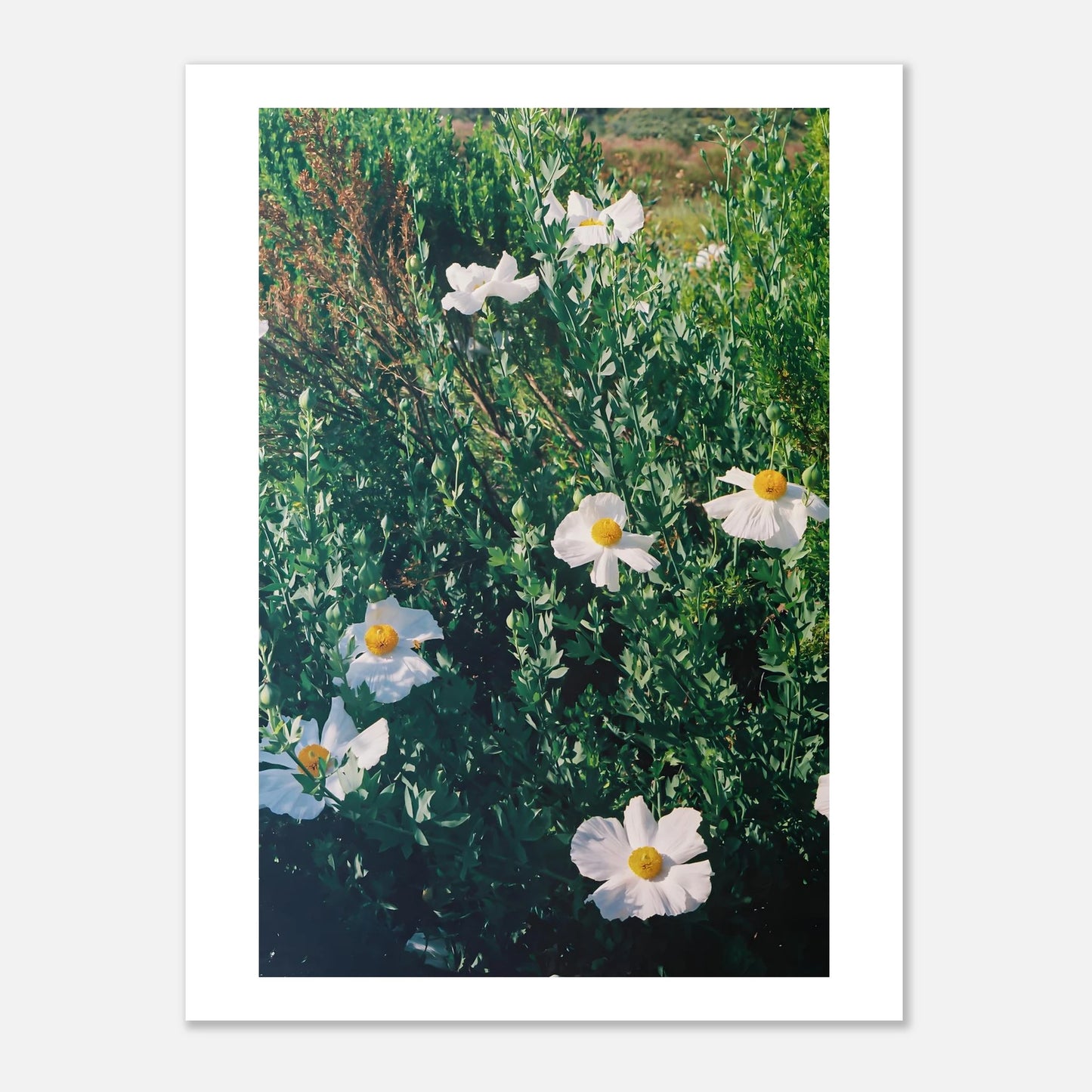 03506f4b-ecdf-42bf-945c-e37d04ace822