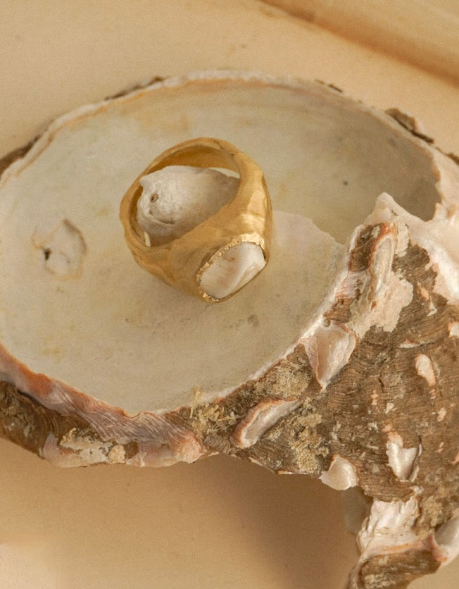 OOAK 27 | Turbo Shell Bronze Ring