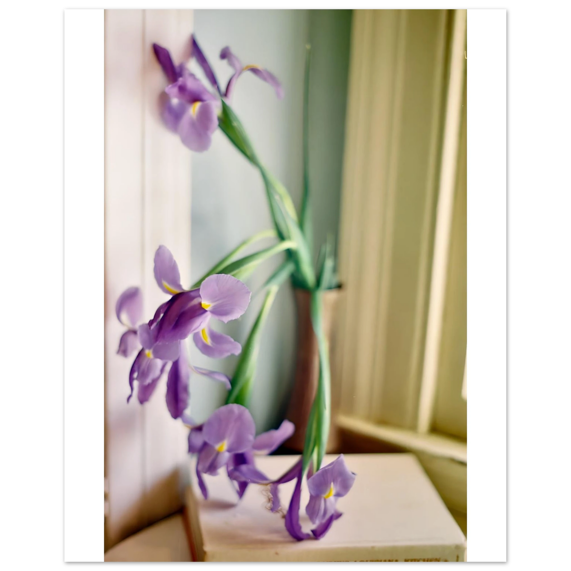 3c234ad3-307f-4323-9fbf-074c0910a24c