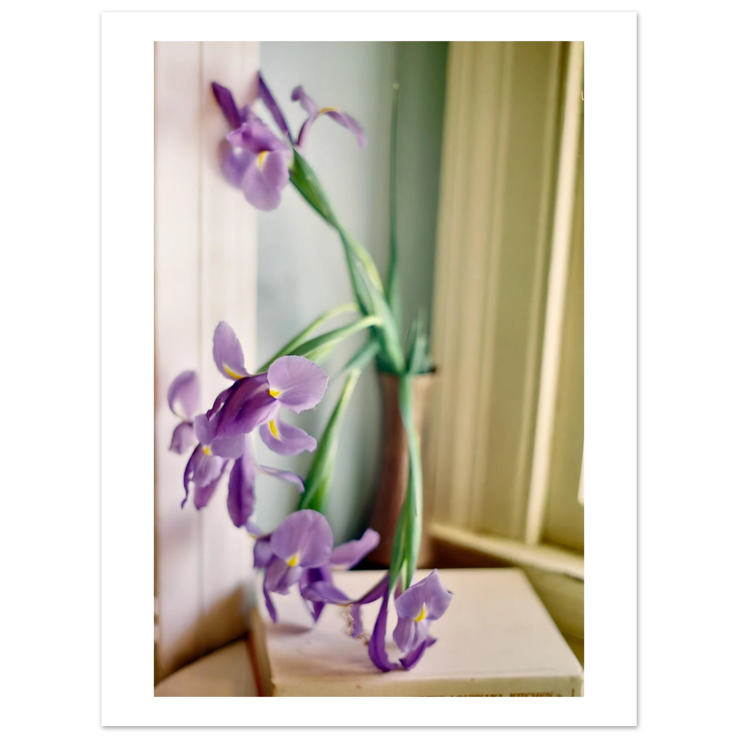 6929c611-c82e-4f8e-9a18-d5fcb9b6a796