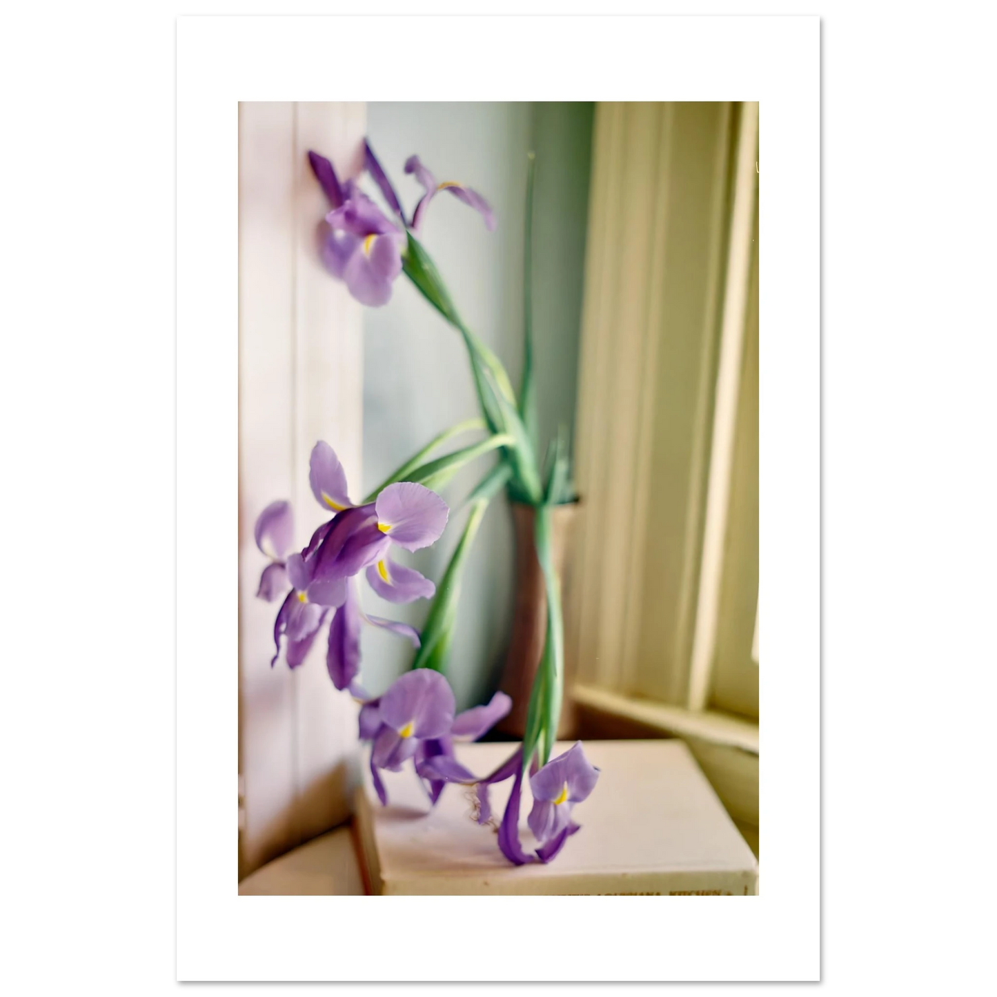 7764f849-8e83-4264-901e-939644802149