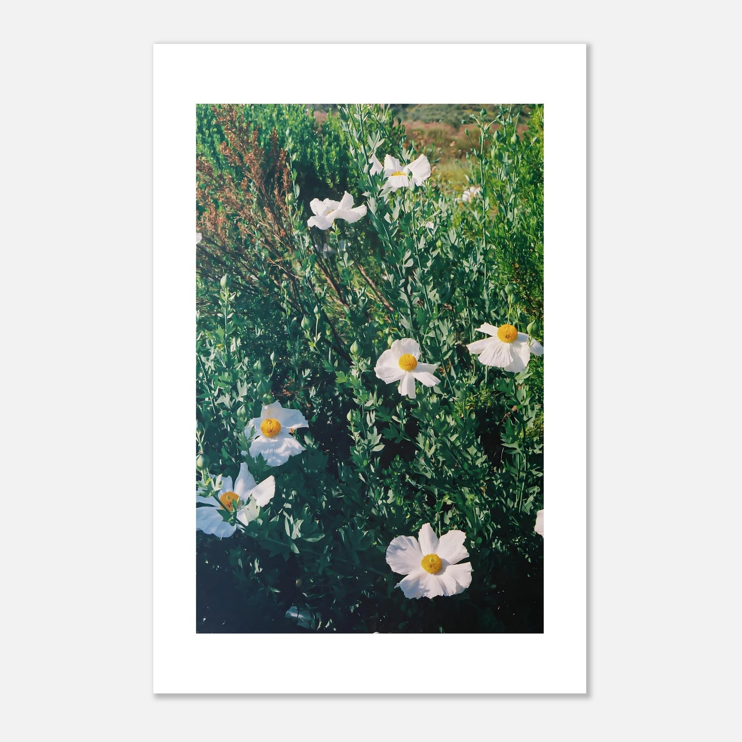 bdeb846c-936e-4141-bfd7-7e081aea8c69