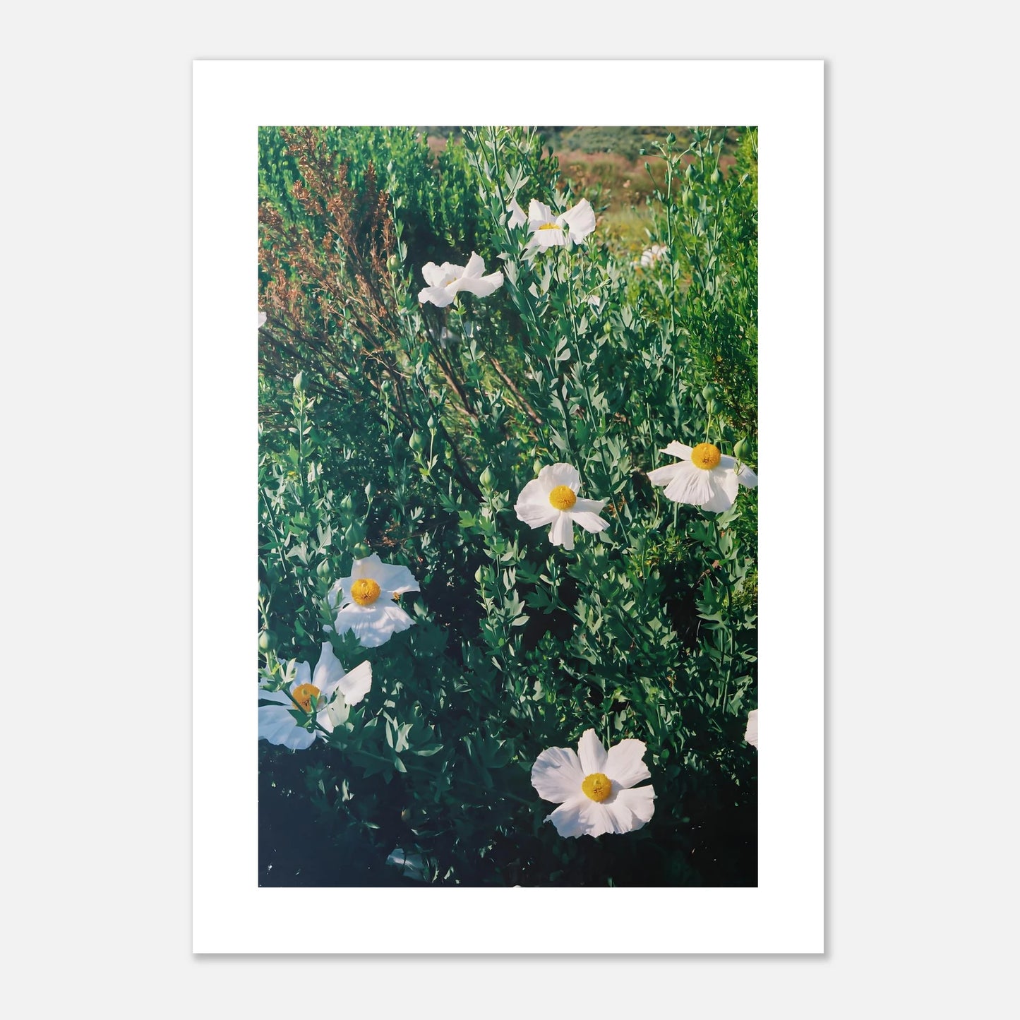 d8a08744-f4da-4306-8b7e-189ed014b0ee