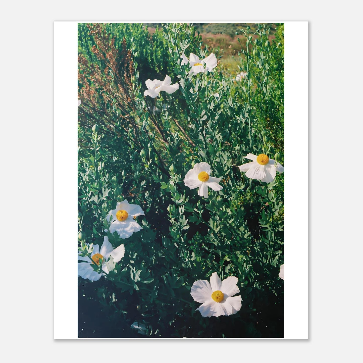 ffbad38c-2469-4190-af99-b919060c9c12